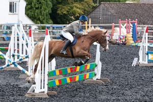 Class 5 - Fences not above 2'6